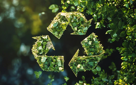 Sustentabilidade e Meio Ambiente